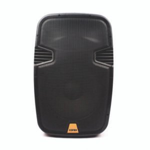 Parlante Pasivo 15"  1,200W