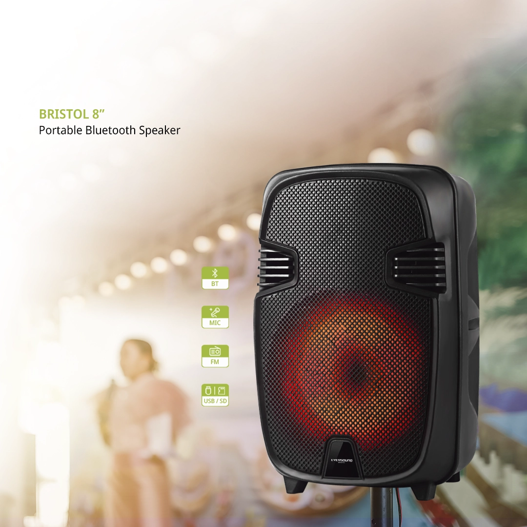 Parlante Bluetooth 8″ Bris - Image 5