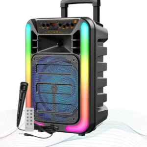 Parlante Bluetooth 12″